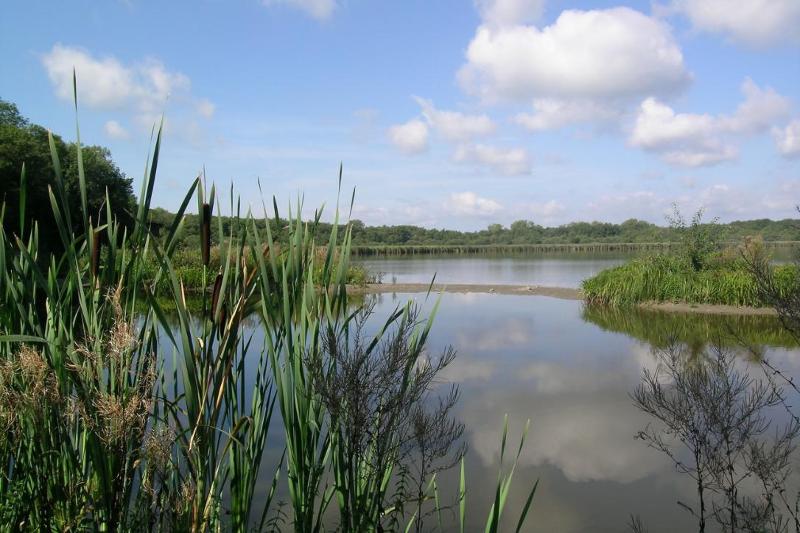 BiodiverCité 2022 : Chimay lance un appel à projets 