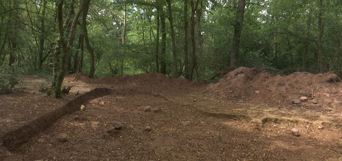 Rencontrez des archéologues au Bois du Grand Bon Dieu à Thuin