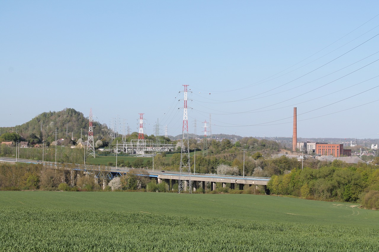 La Ville de Charleroi n’a pas les moyens de restaurer une œuvre de sa région