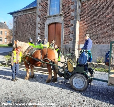 Villers-la-ville : Le retour du cheval de trait en ville