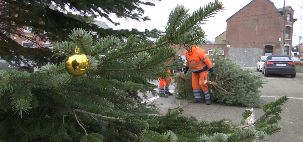 Ramassage des sapins de Noël, les dates sont connues 