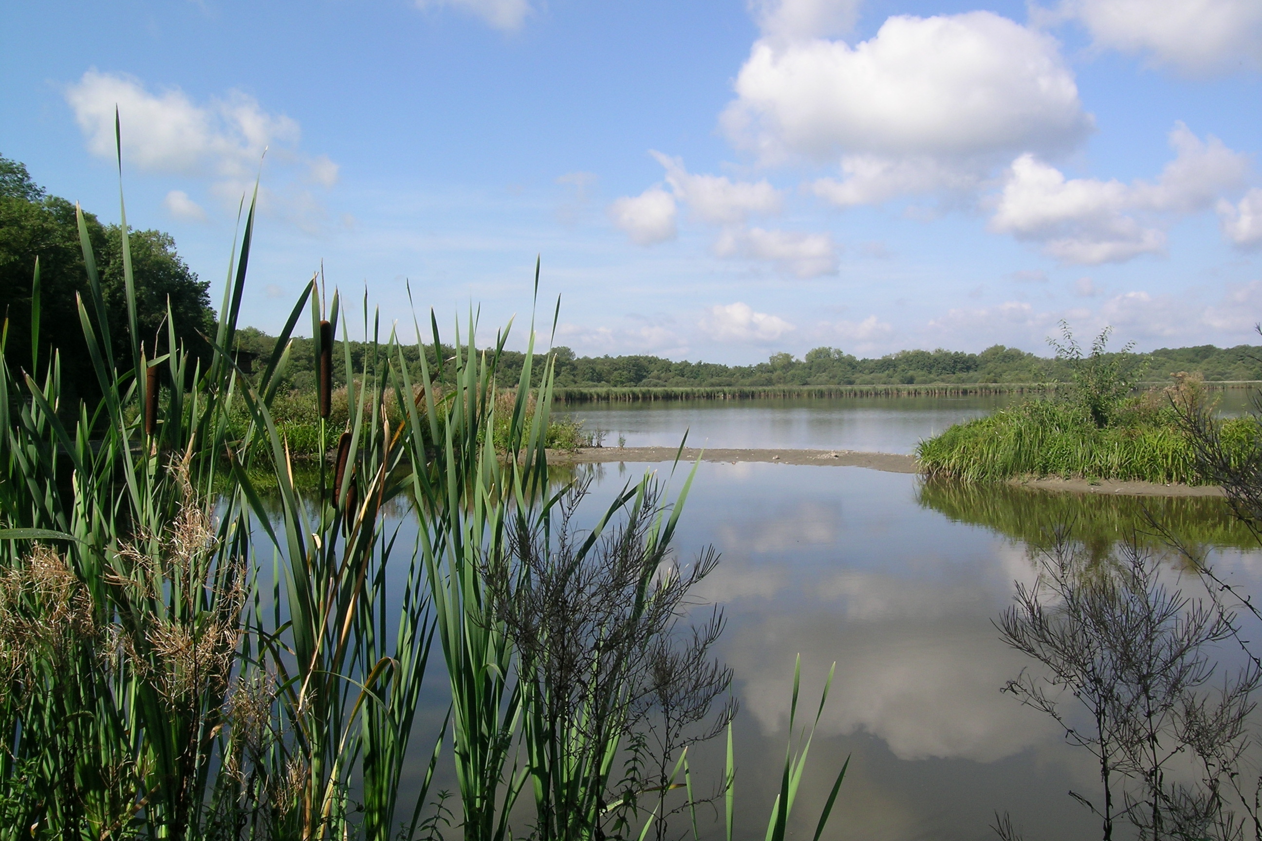 Virelles: deux nouvelles activités à l’Aquascope 