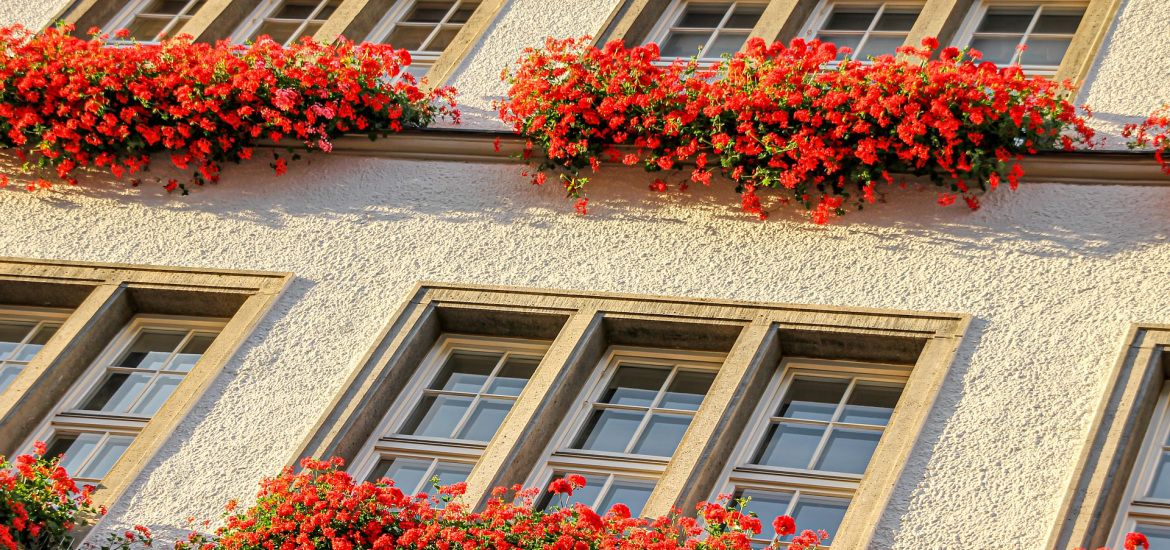 Un concours de maisons et de façades fleuries à Aiseau-Presles