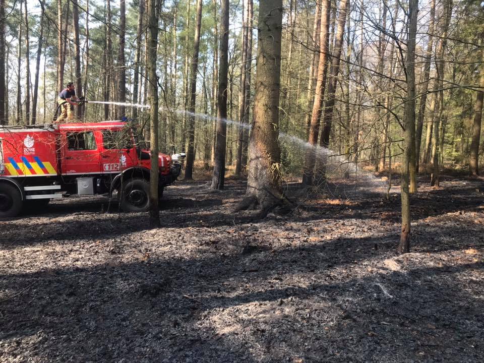 Nalinnes: des jeunes boutent le feu dans le bois de la Ferrée 