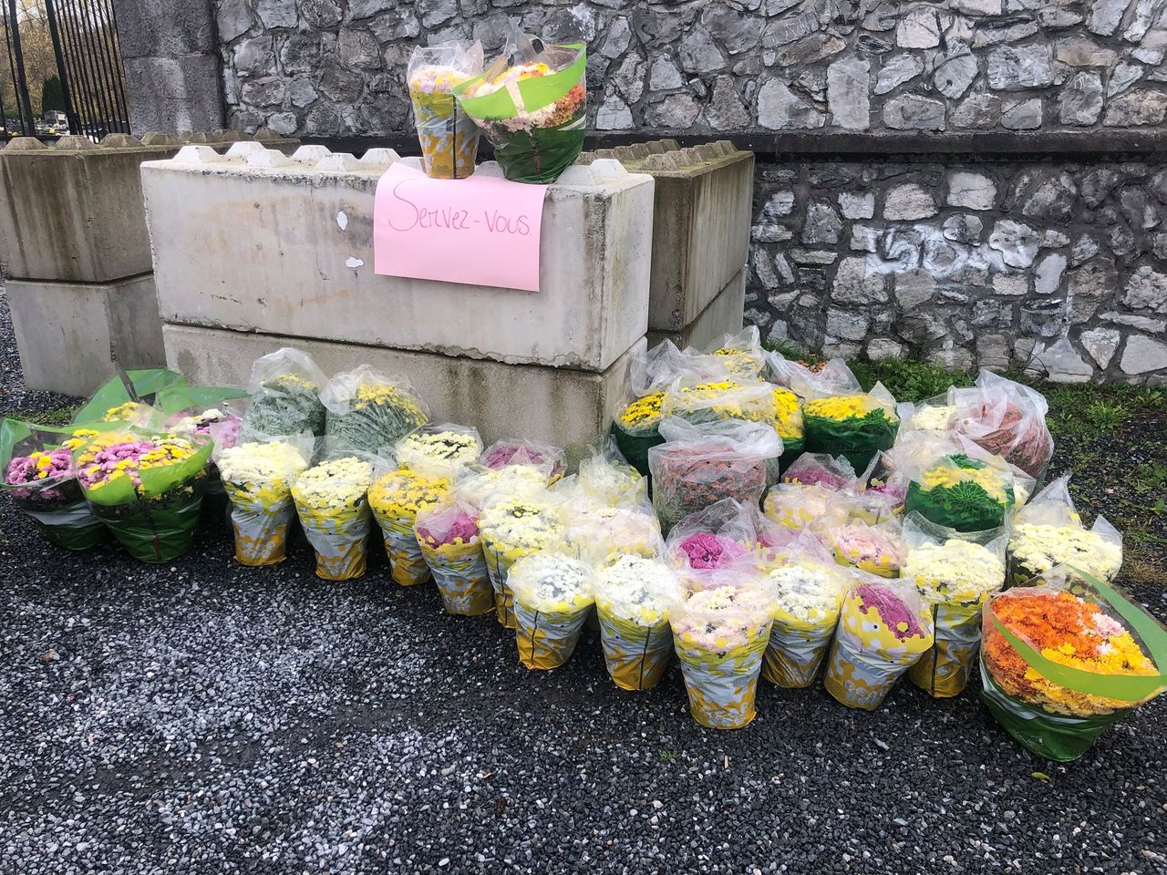 Des fleurs à saisir au cimetière de Thuin 