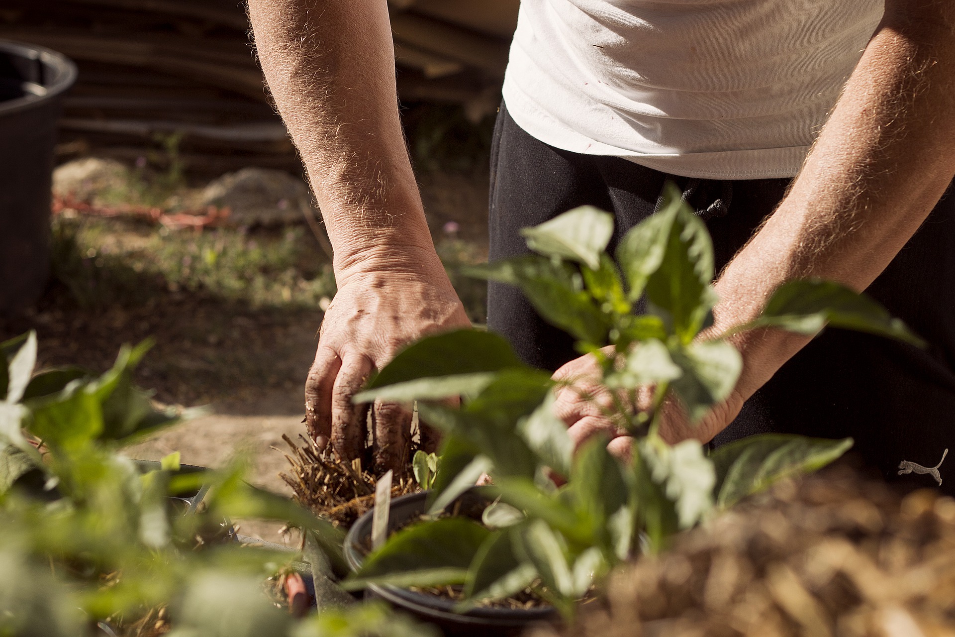 Charleroi: une journée pour découvrir l’agriculture urbaine ! 