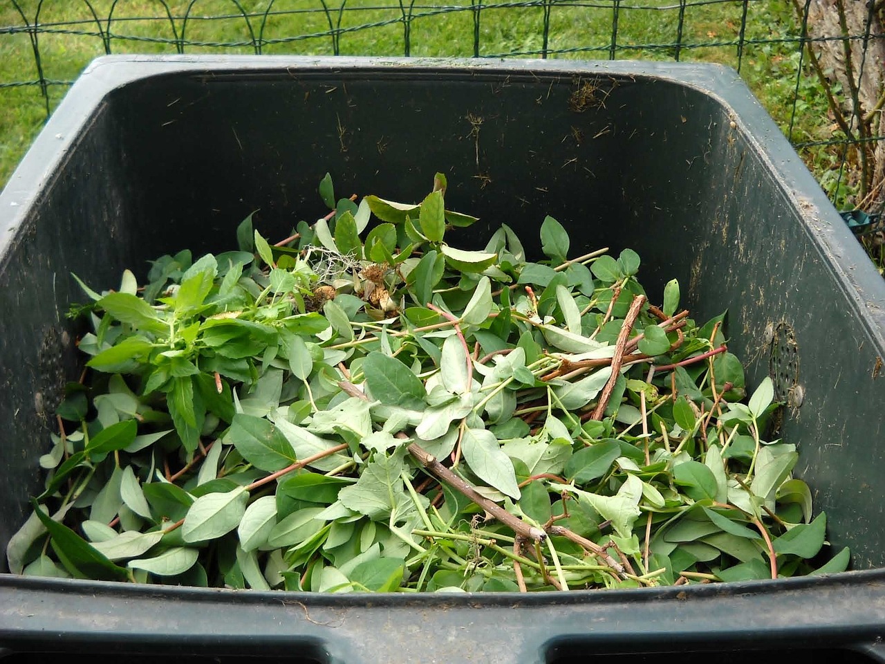 Ramassage des déchets verts sur la commune de Farciennes