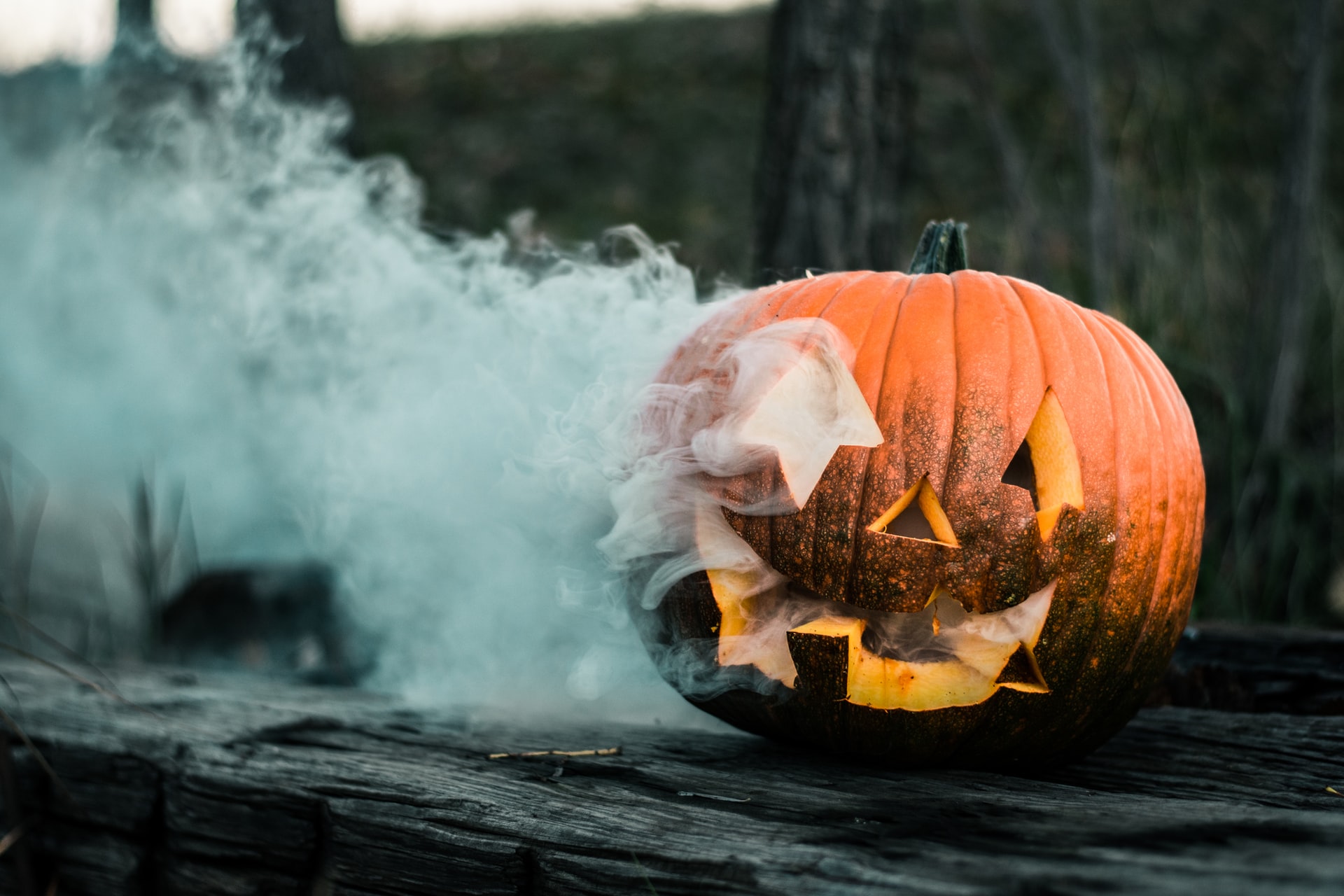 Halloween : tremblez au Pays Noir