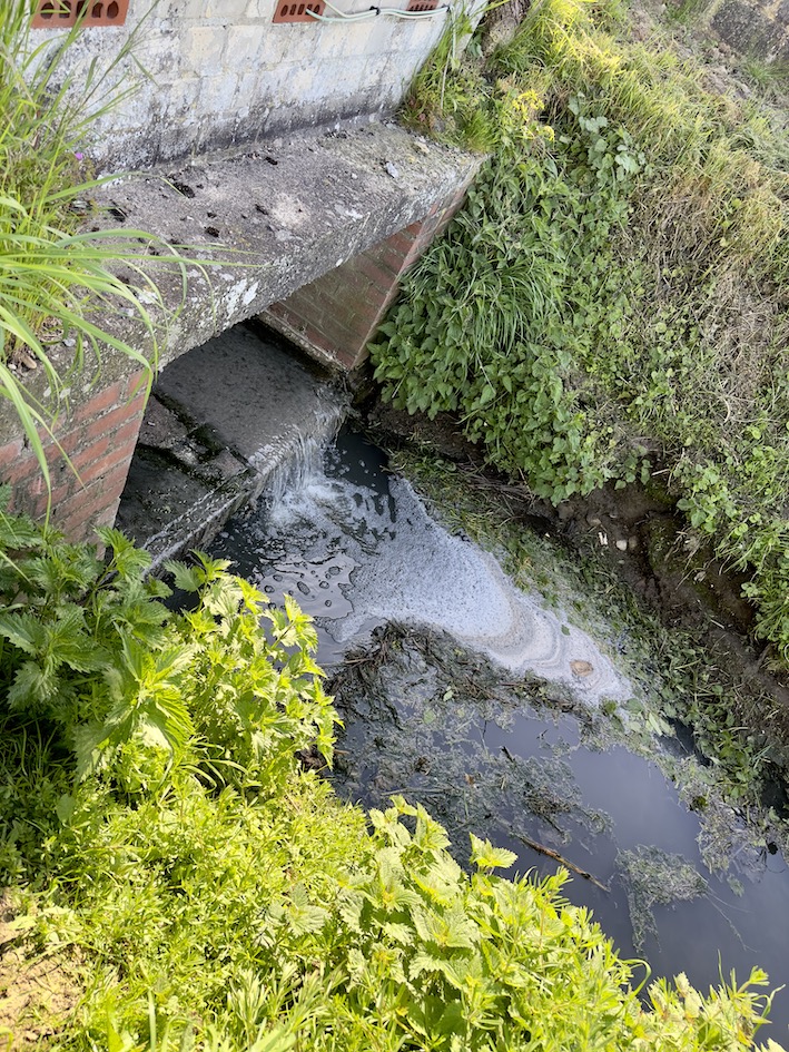 Pont-à-Celles : Les travaux du ruisseau "Le Buzet" sont terminés