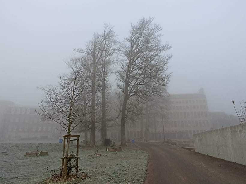 L'ISM de Rèves ferme temporairement ses portes jusqu'au 31 janvier !