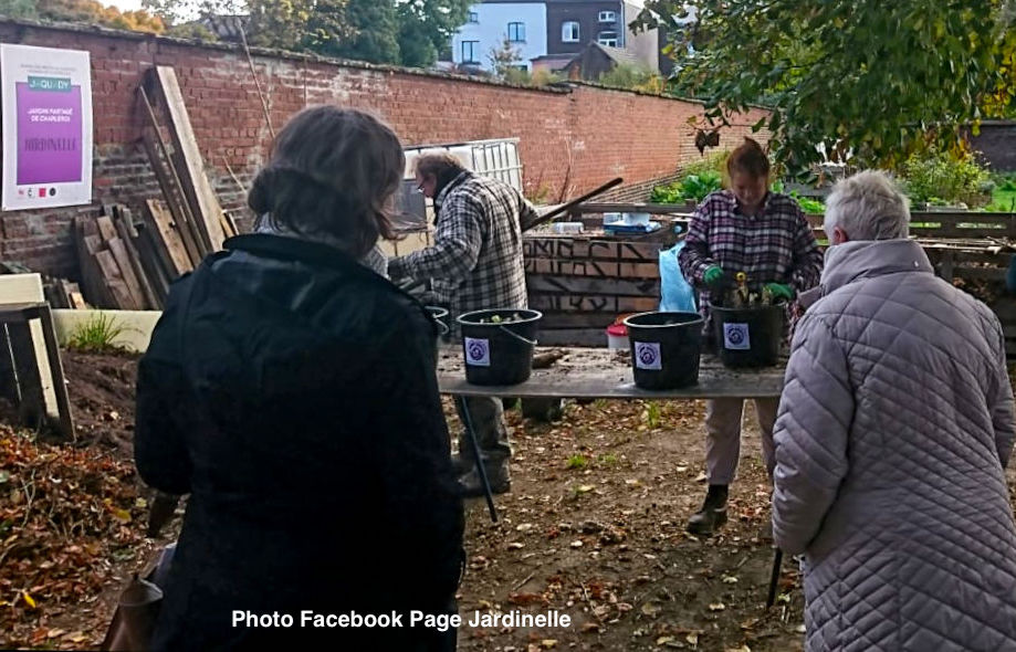 Marcinelle : L'ASBL Jardinelle organise un marché aux plantes mais pas que ...