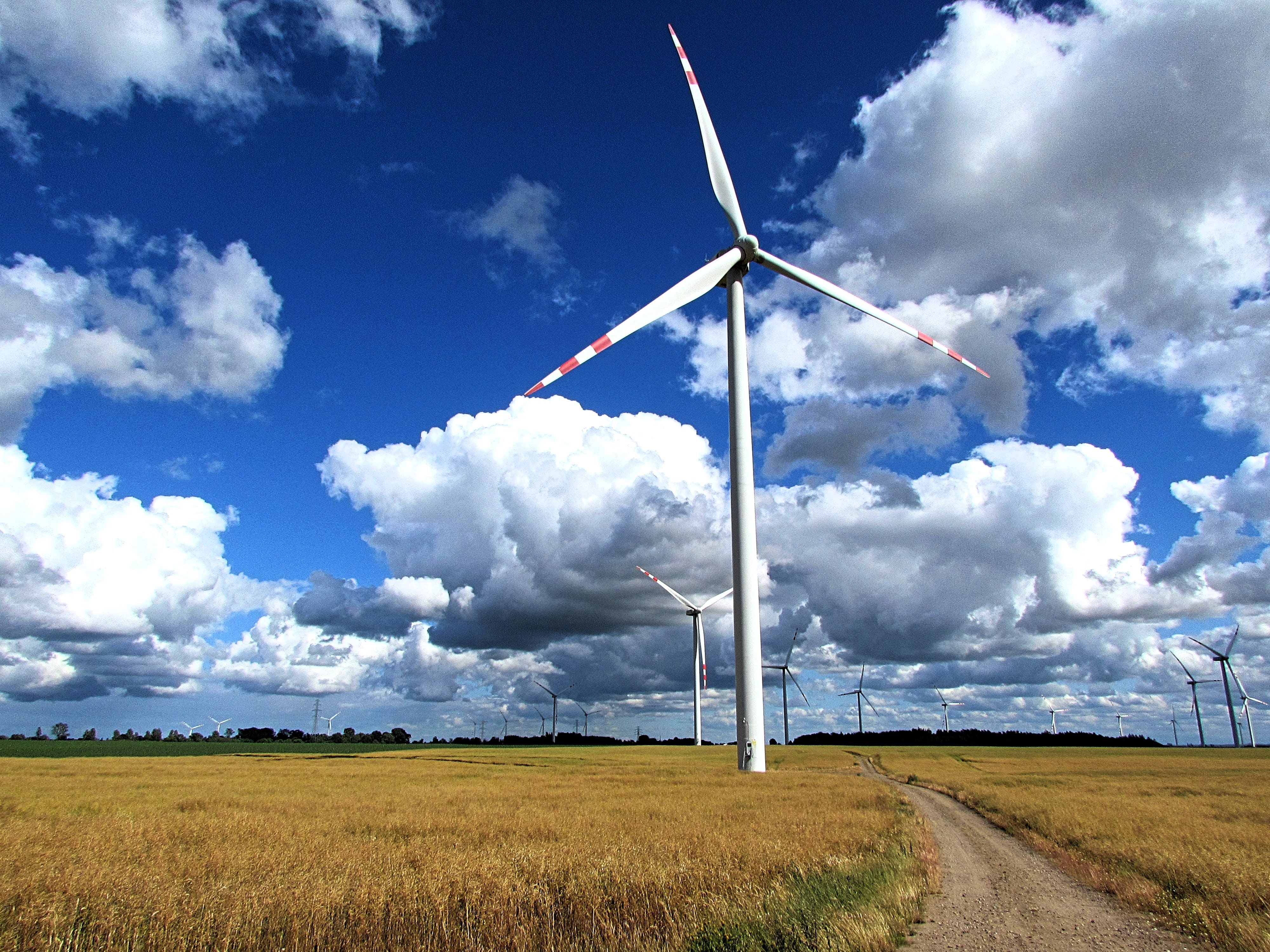 Les Bons-Villers : une réunion d'information autour du projet éolien