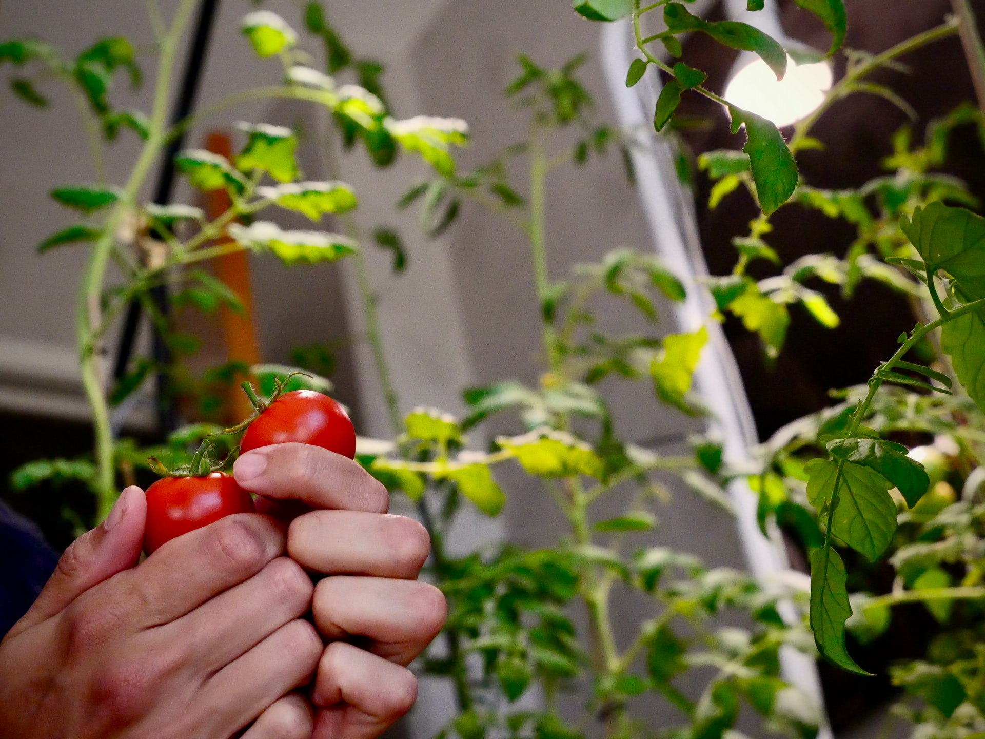 Charleroi: aidez à la création d’un jardin potager ! 