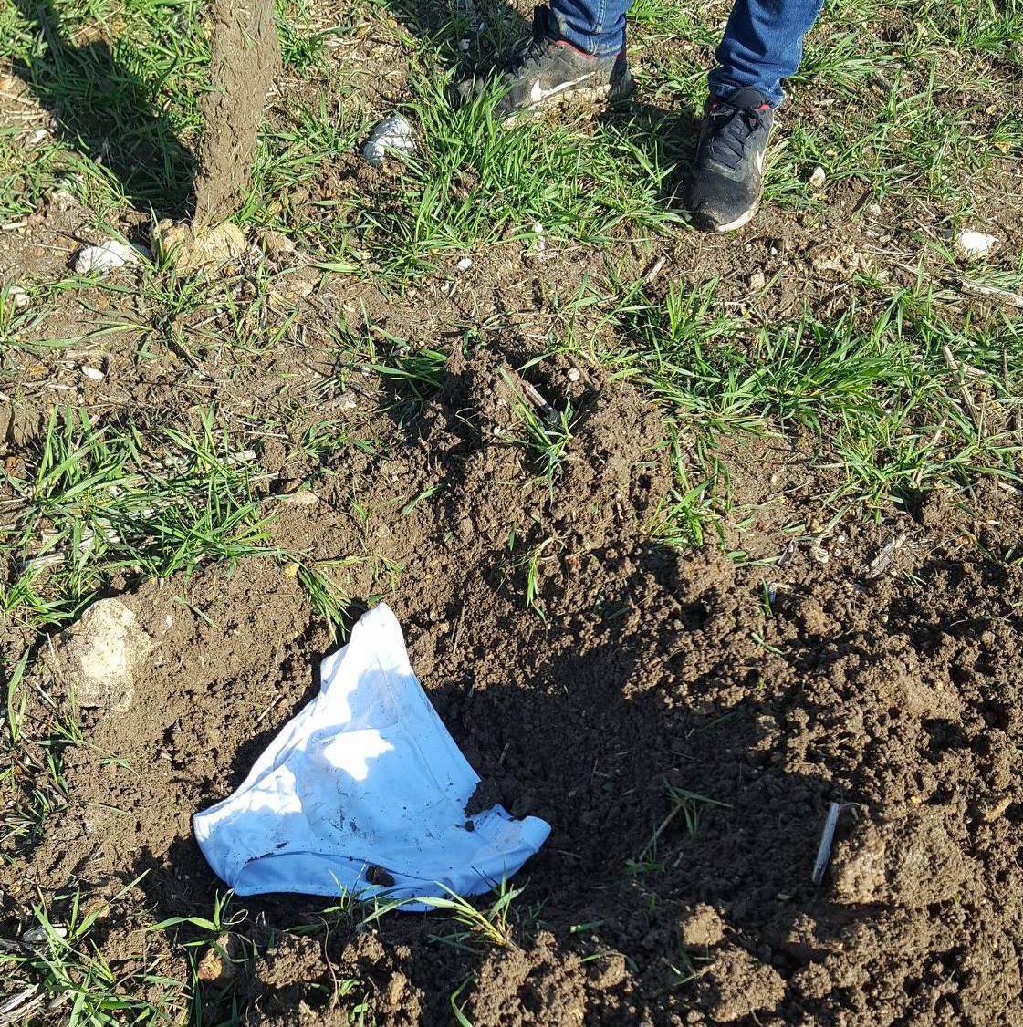 Gerpinnes : Vous avez envie de planter un slip dans votre jardin ? 