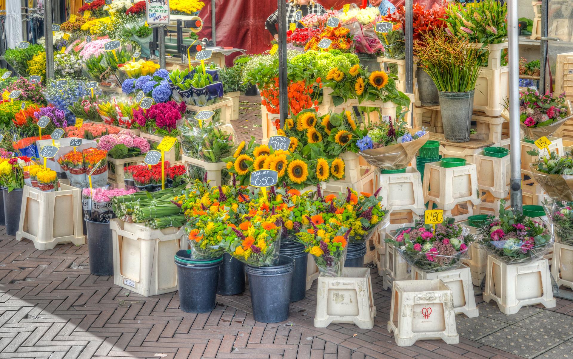 Froidchapelle : Retour du marché aux fleurs du cercle horticole de Boussu-lez-Walcourt