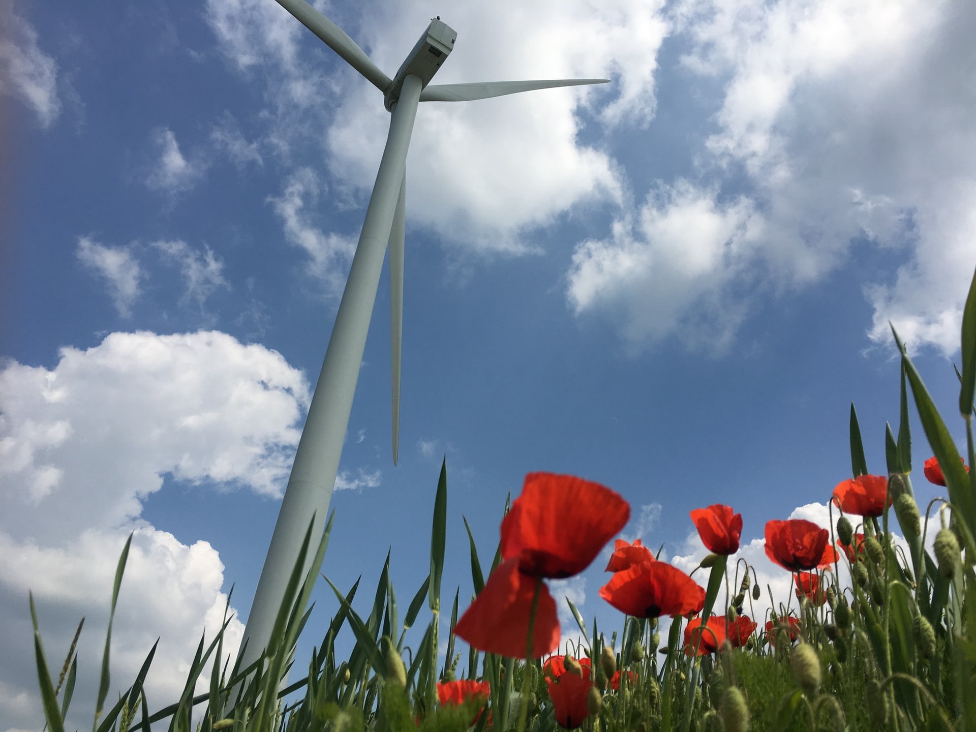 Voici les communes de notre région qui s’engagent dans des Plans d'Actions pour l'Energie durable et le Climat 