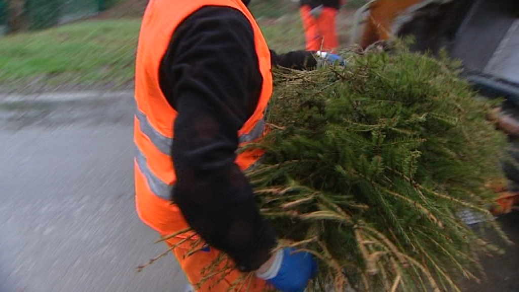 Petite piqûre de rappel : Les sapins seront de sortie ce week-end 