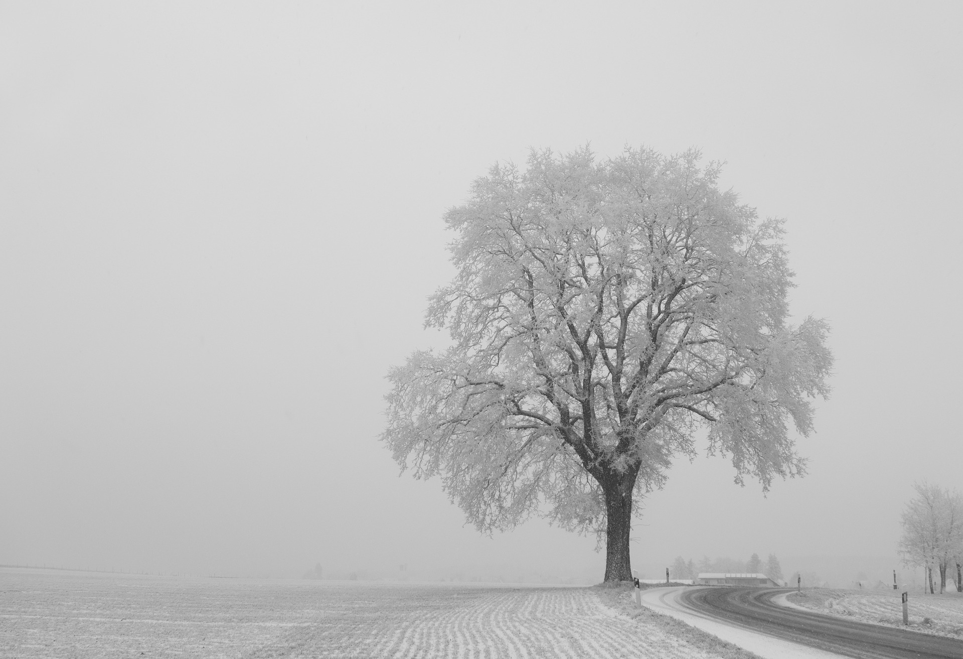 IRM: la neige se prolonge jusque vendredi matin 