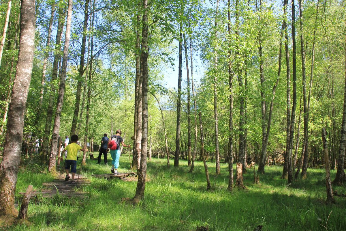 Natagora organise des portes ouvertes pour découvrir les Réserves naturelles ! 