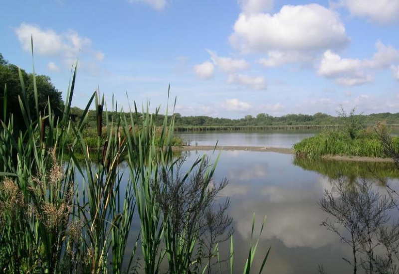 Le dossier du Parc naturel de la Haute Sambre, retenu par le gouvernement wallon