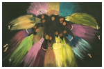 0 29/08/11 : Expo de l'association culturelle de Roux