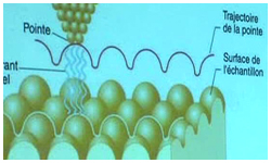 14/05/12 : 23ème concours scientifique