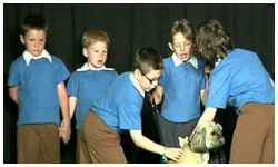 14/06/12 : Spectacle de l'école de Solre St Géry