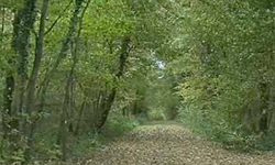 0 23/11/13 : Sentier éco-pédagogique de Gougnies