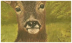 0 06/01/14 : Expo Marjorie MAHIEU