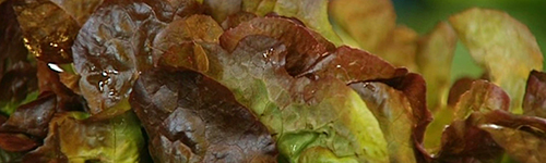 13/11/13 : INTERREG GREEN & BLUE FUTURES