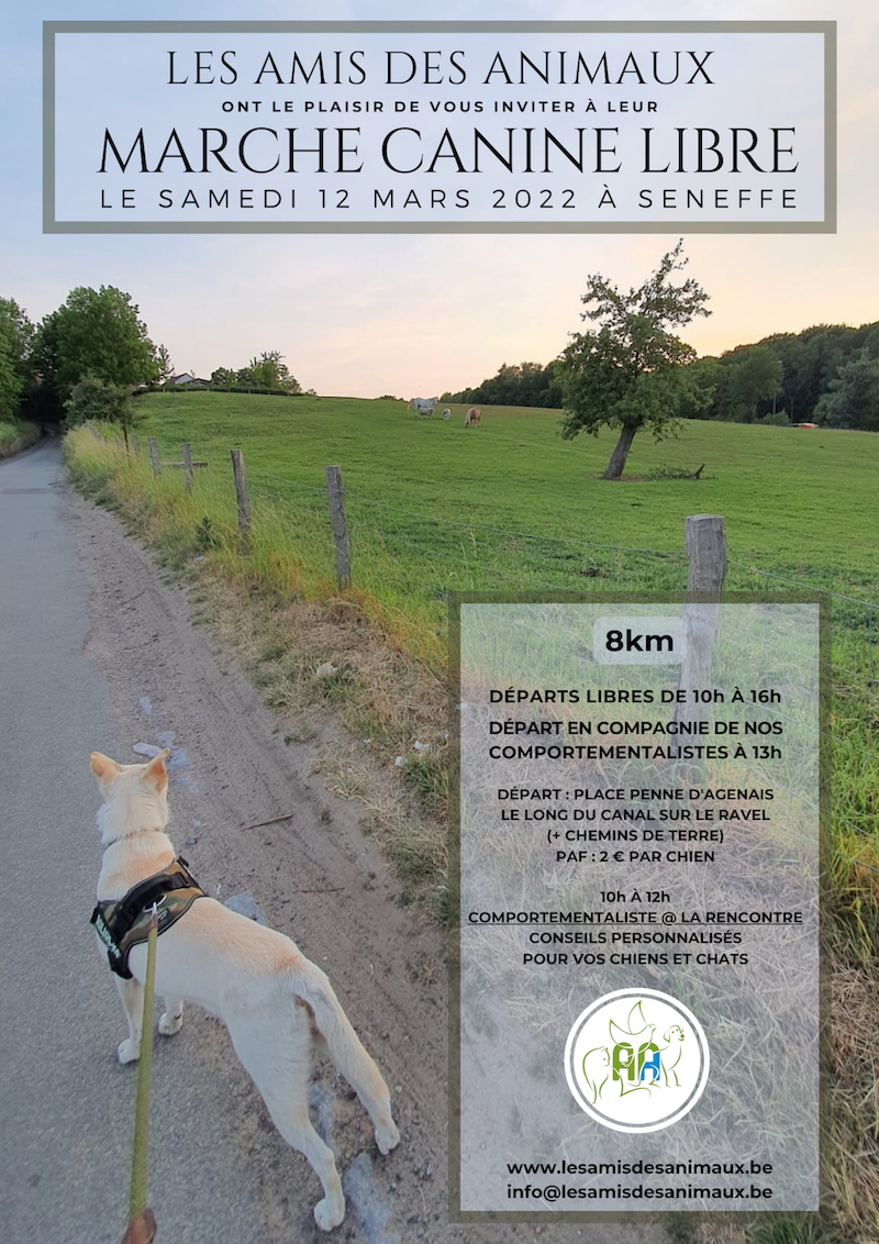 Marche canine libre 