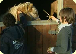 23/11/11 : LES CADETS DE LA SPA