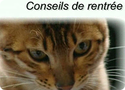 05/09/13 : CONSEILS DE RENTREE