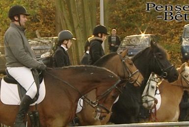 Pense-Bêtes : Saint-Hubert à Ham-sur-Heure