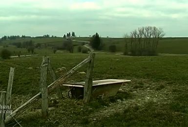 Au chant du coq : Ferme d'élevage de BBB à Gouvy