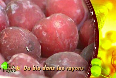 Bio Villages : du bio dans les rayons