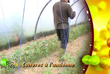 Bio Villages : cultures à l'ancienne à la Ferme du Pissenlit