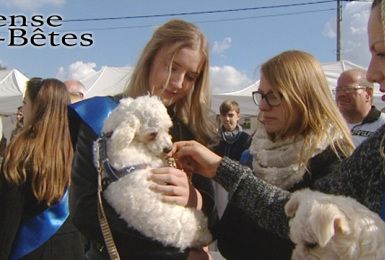 Pense-Bêtes : Journée des animaux à Courcelles