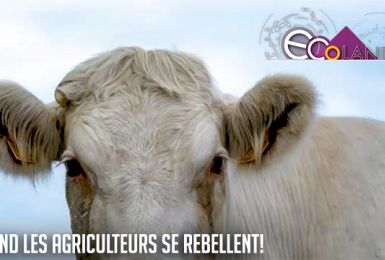 Ecoland: Quand les agriculteurs se rebellent