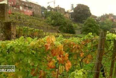 Bienvenue Chez Vous - ancrage local: Au Clos des Zouaves mais pas seulement !