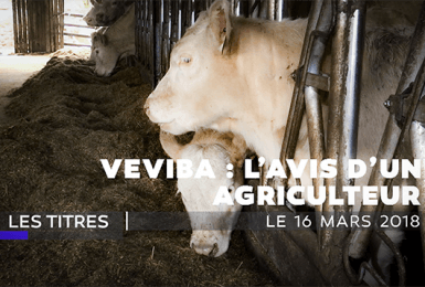 JT du vendredi 16 mars 2018