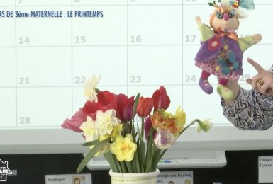 Une éducation presque parfaite presqu'à l'école : Le printemps (3ème maternelle)