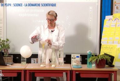 Une éducation presque parfaite presqu'à l'école : La démarche scientifique (P3-P4)