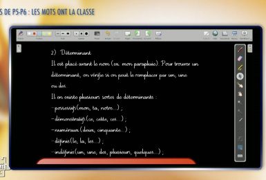 Une éducation presque parfaite presqu'à l'école : Les mots ont la classe (P5-P6)Retrouve ici toutes nos leçons