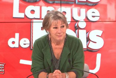 Sans Langue de Bois: Anne Gruwez.