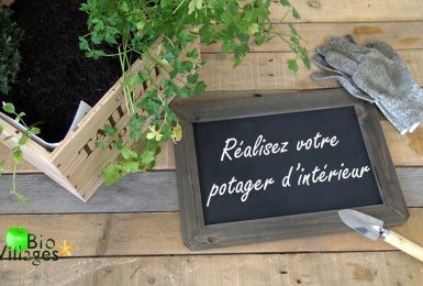 Bio Villages: réalisez votre potager maison