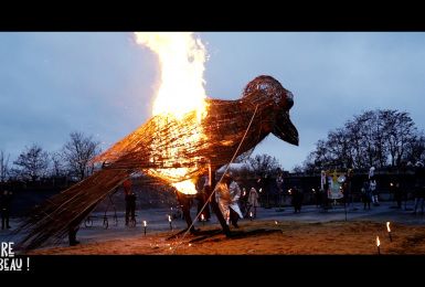 Emission spéciale : Sacré Corbeau!