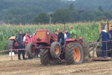 C LOCAL - concours de traction à Chastres (Walcourt)