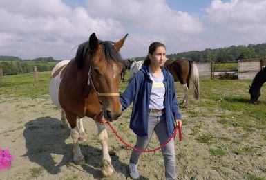 Pense-Bêtes : Ecrin de soi, thérapie avec des chevaux