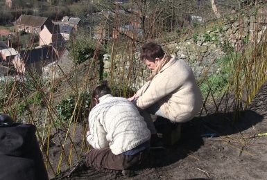 C Local - Un espace végétal sécurisé sur les jardins suspendus